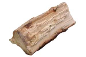 Bûche de bois de chauffage fendue.